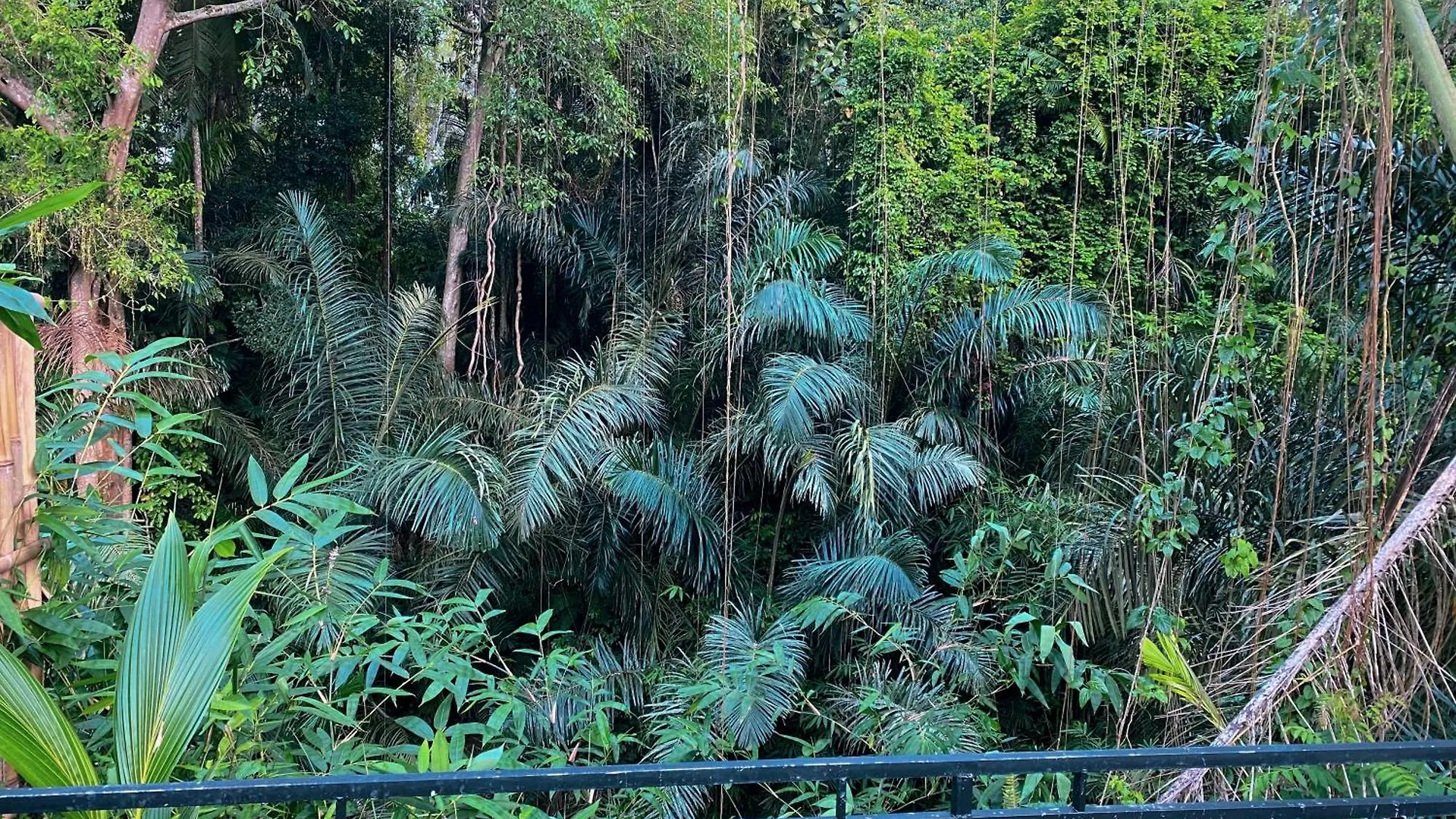 Semana Jungle By Shm Villa Ubud  Ubud (Bali)
